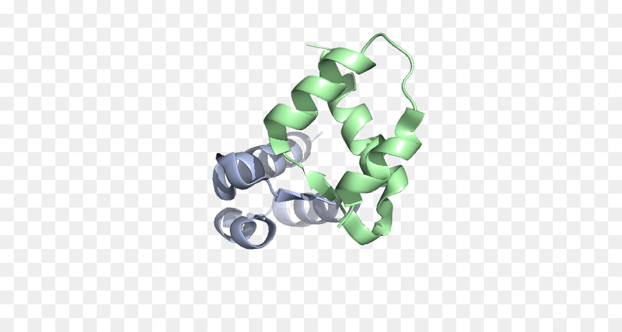 Protein，Molekül PNG