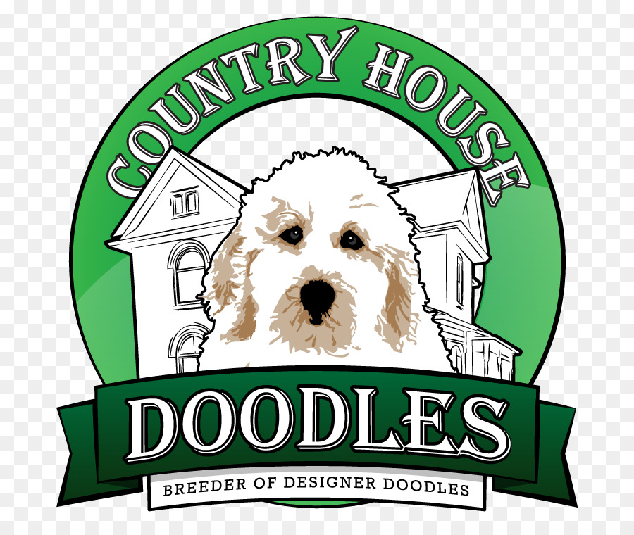 Köpek Yavrusu，Goldendoodle PNG