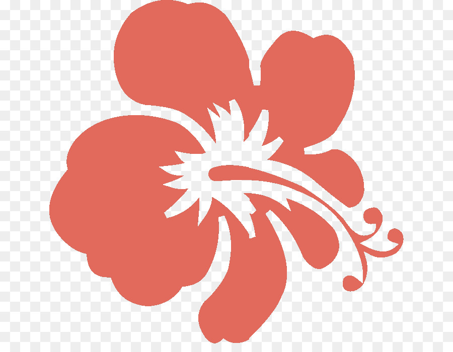 Rosemallows，çiçek Tasarımı PNG