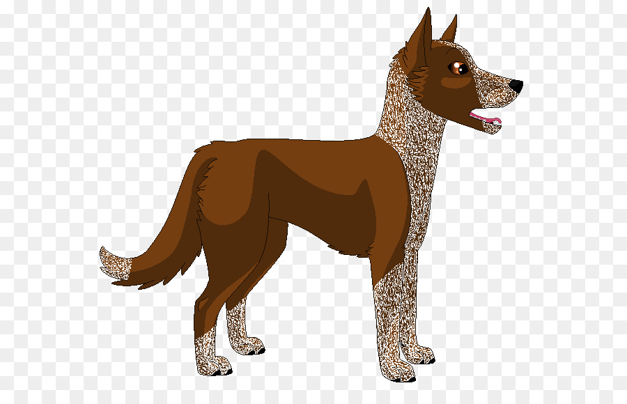 Köpek，Shiba Inu PNG