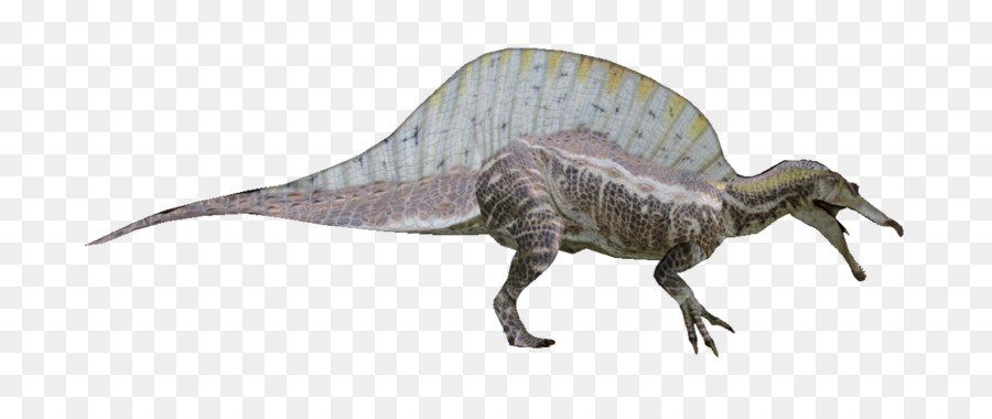 Tyrannosaurus Spinosaurus Dinosaur Kaprosuchus Pachyrhinosaurus Boyutu Dinozor Seffaf Png Goruntusu