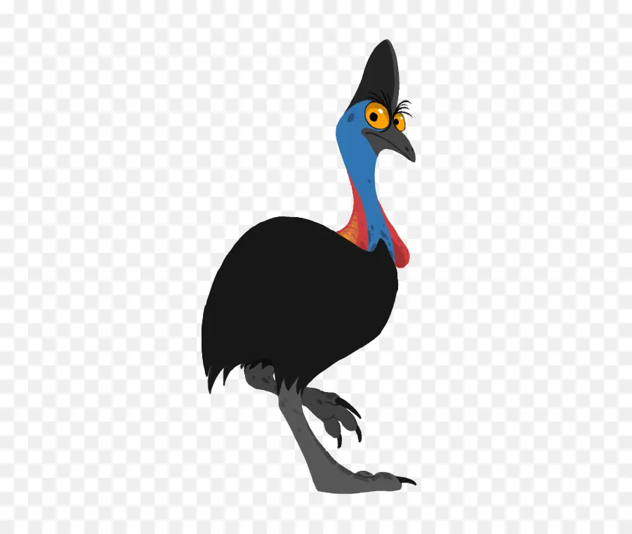 Cassowary，Yaban Hayatı PNG