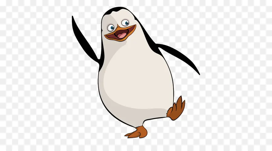 Penguen，Kuş PNG