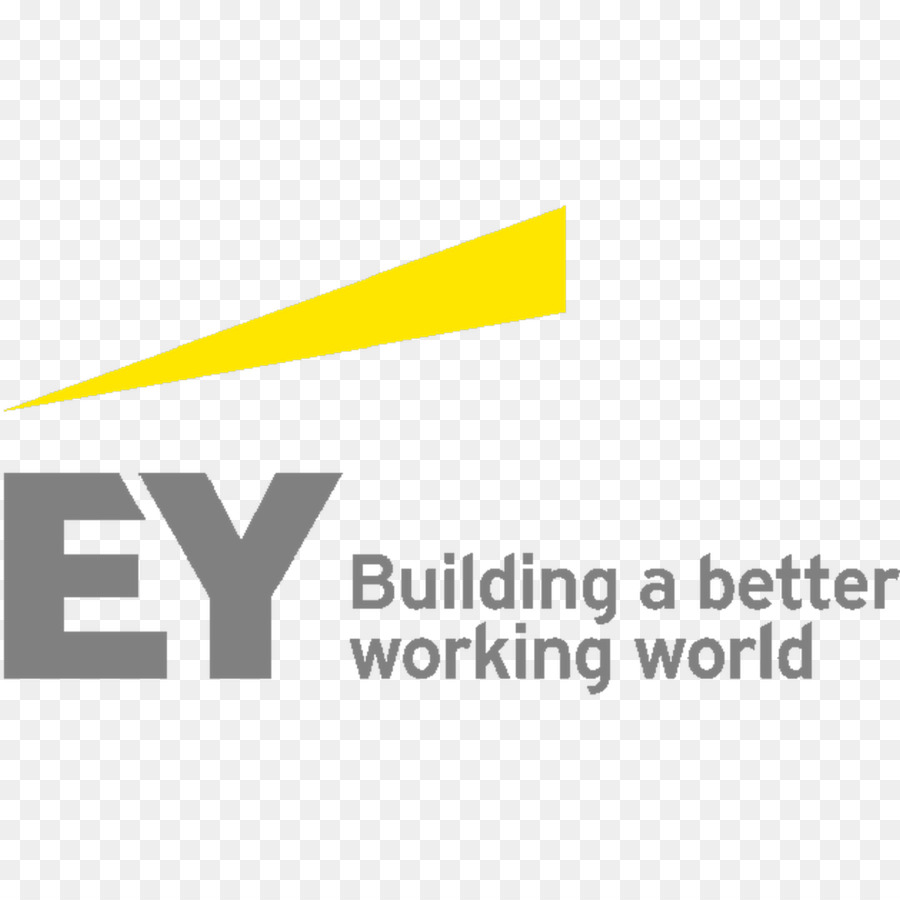 Ernst Young，Iş PNG