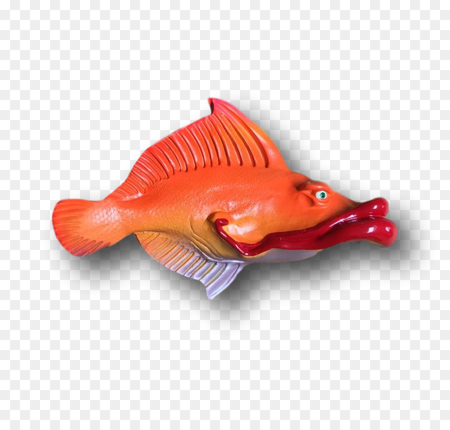 Kuzey Red Snapper，Levrek PNG