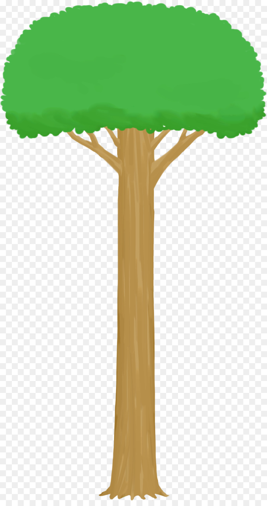 Ağaç，Çizim PNG