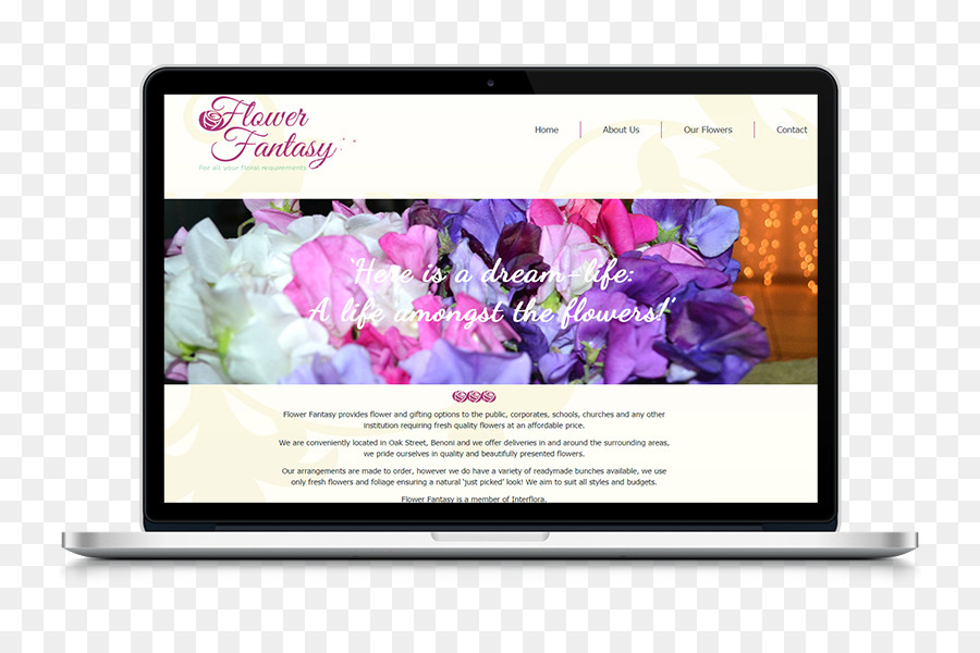 Web Tasarım，çiçek PNG