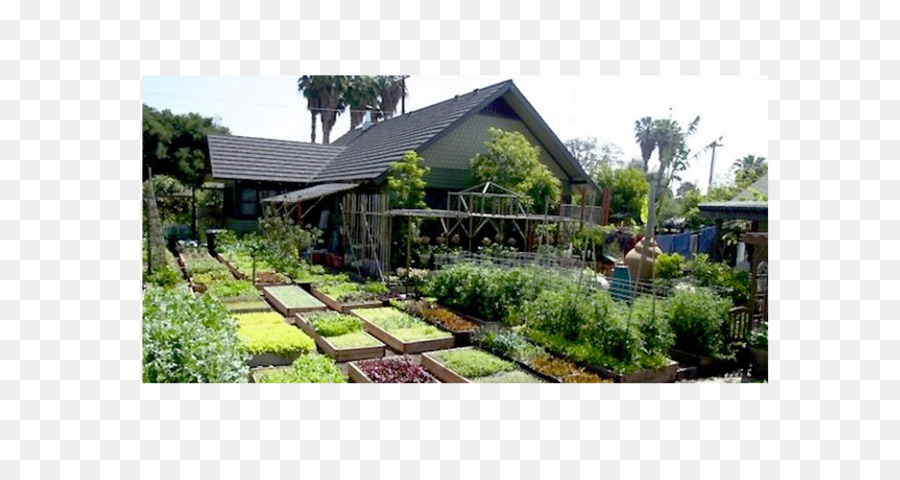 Organik Gıda，Restoran PNG