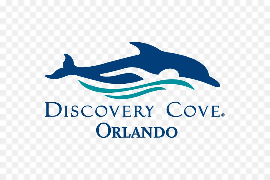 Discovery Cove Logosu，Yunus PNG