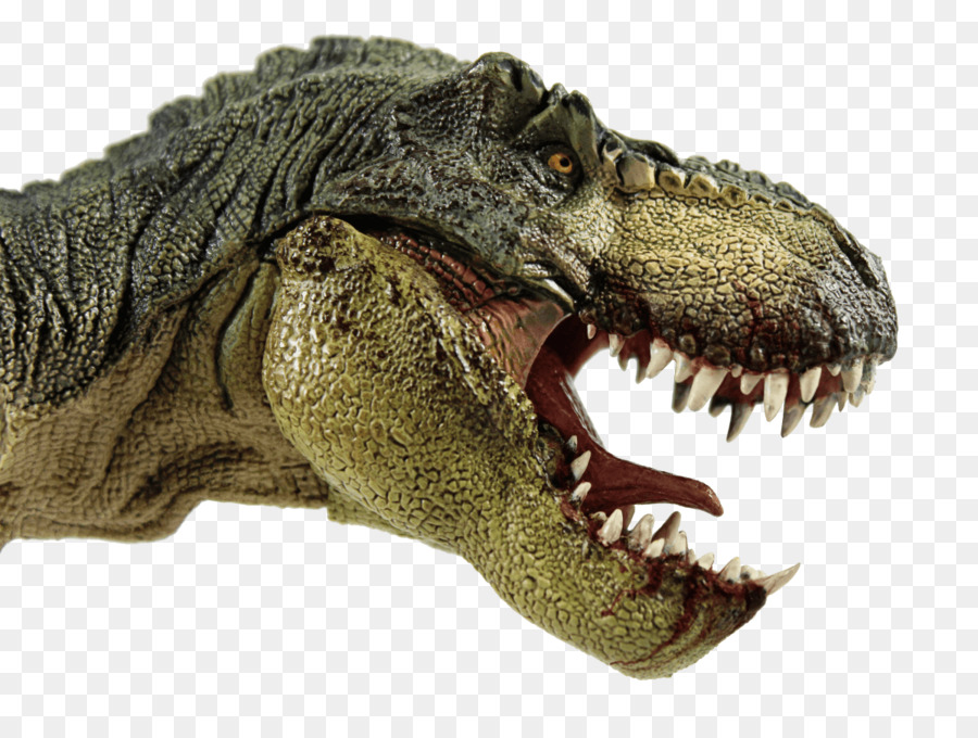 Tyrannosaurus Rex，Tarih öncesi PNG