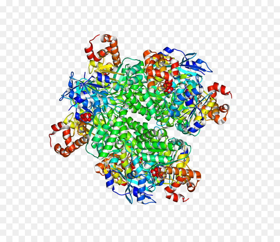 Protein Yapısı，Molekül PNG