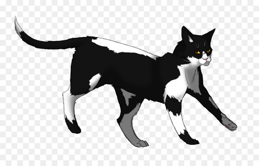 Savaşçılar，Swiftpaw PNG