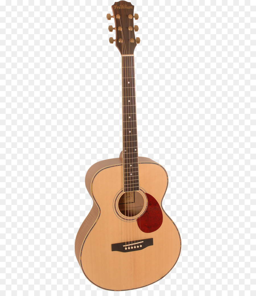 Gitar，Dizeler PNG