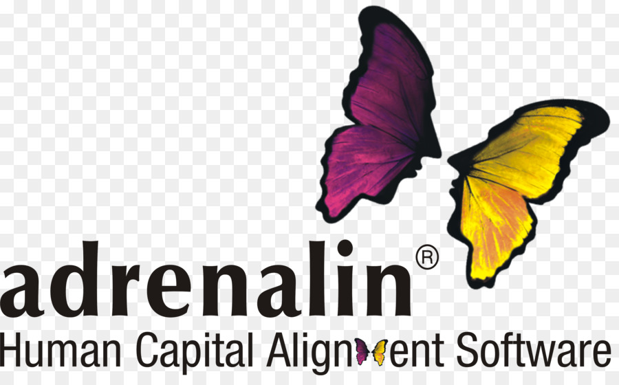 İnsan Kaynakları Yönetim Sistemi，Adrenalin Esystems PNG