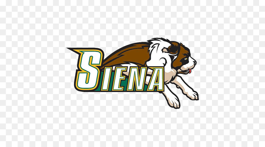 Siena üniversitesi，Siena Erkekler Basketbol Azizler PNG