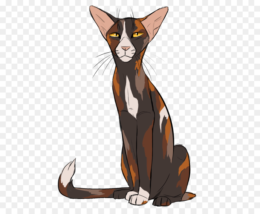 Kedi，Evcil Hayvan PNG