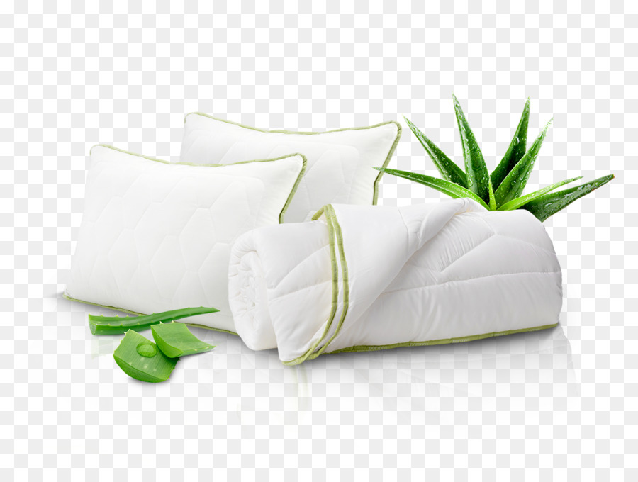 Aloe Vera，Bitki PNG