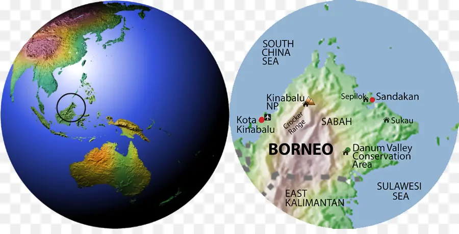 Borneo'lu，Ada PNG