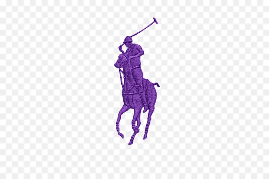 Polo Oyuncusu，Polo PNG