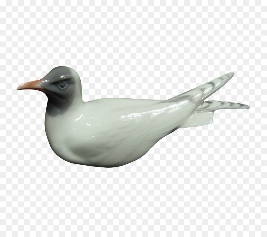Sinek Balıkçı，Kuş PNG