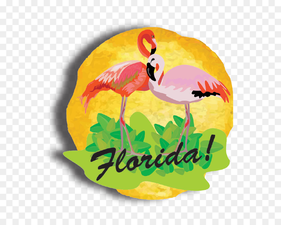 Florida，Gaga PNG