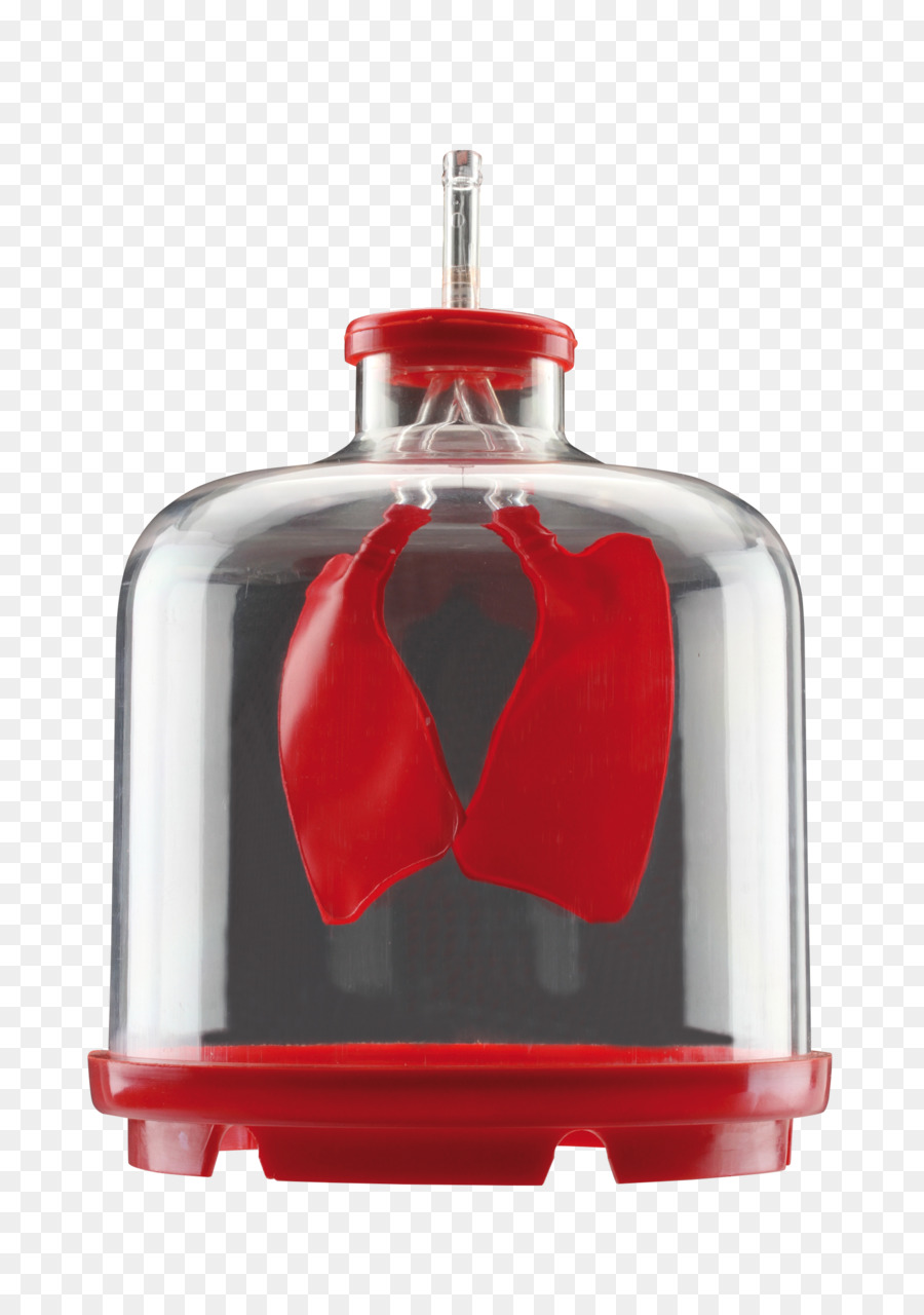 şişe，Kırmızı PNG