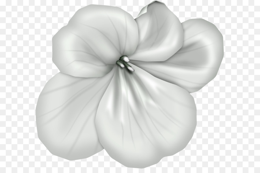 Yaprağı，Beyaz PNG