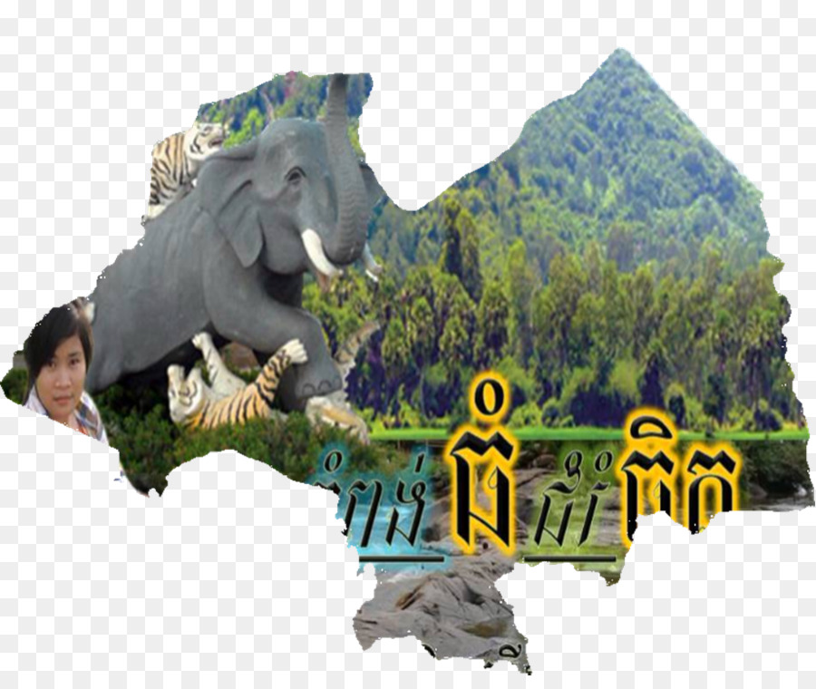 Dinozor，Fauna PNG