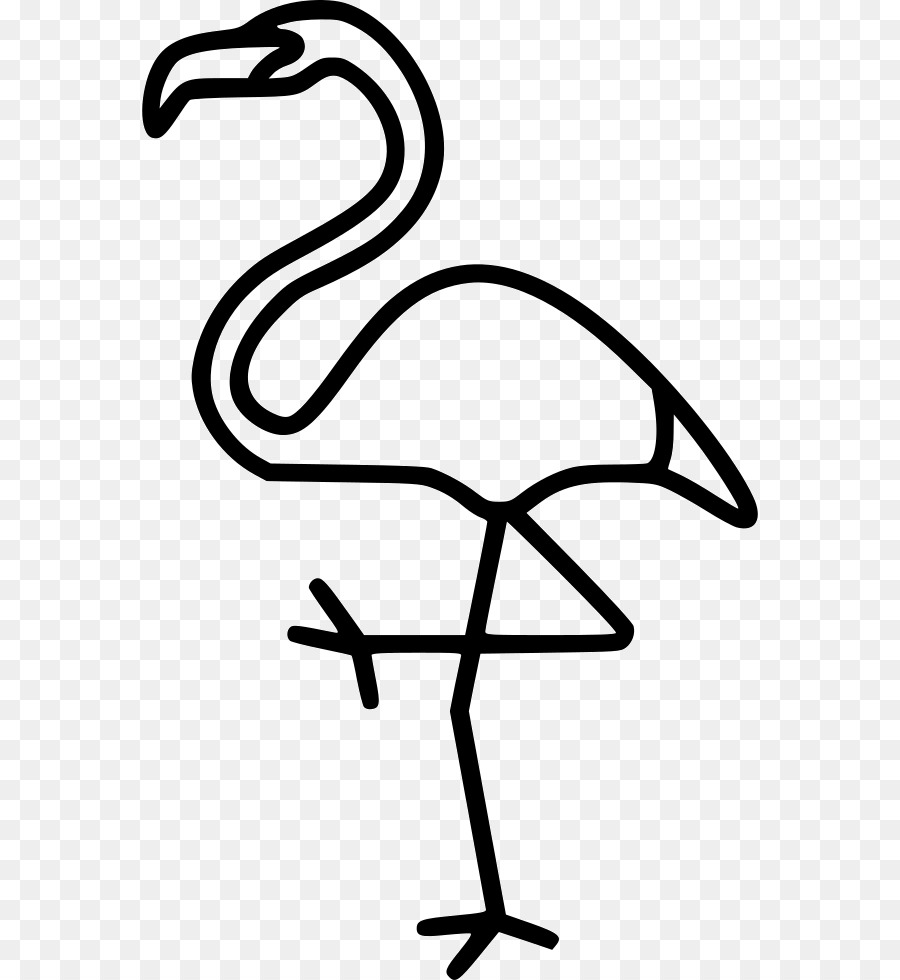 Flamingo，Kuş PNG