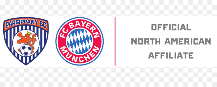 Fc Bayern Münih，201718 Uefa Şampiyonlar Ligi PNG