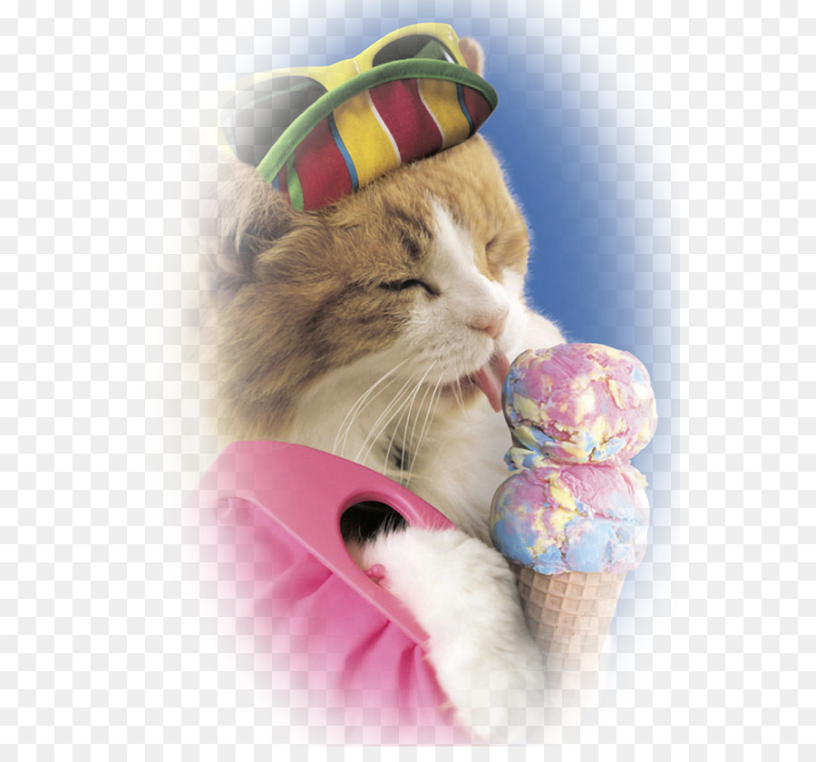 Dondurma，Kedi PNG
