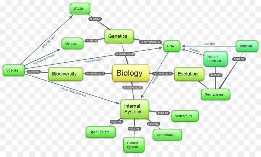 Kavram Haritası，Biyoloji PNG