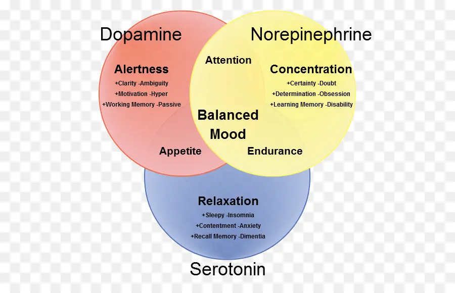 Nörotransmiter，Dopamin PNG
