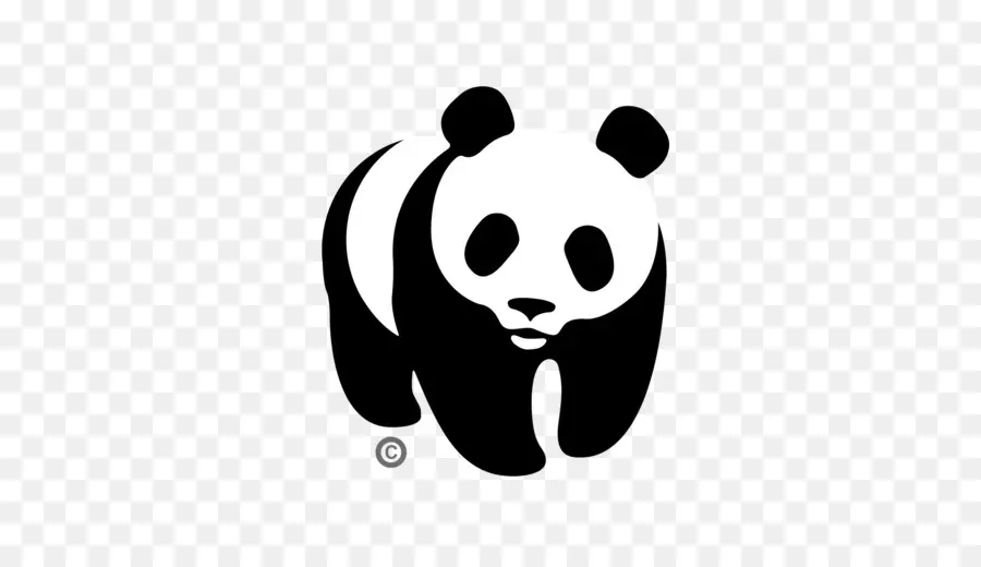 Panda，Ayı PNG