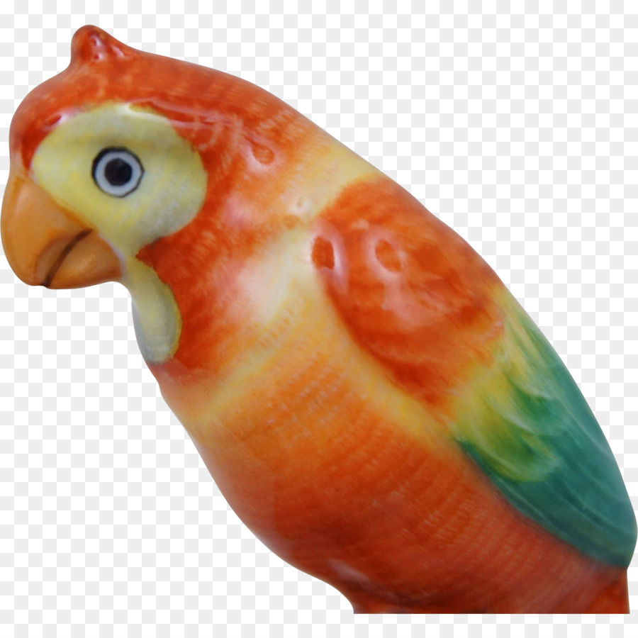 Muhabbetkuşu，Papağan PNG