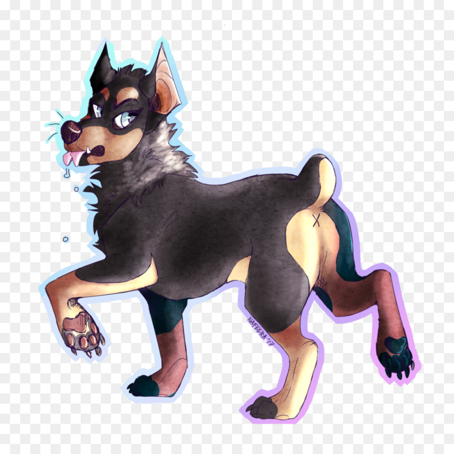 Avustralyalı Kelpie，Sibirya Husky PNG