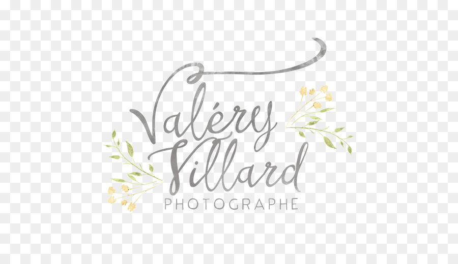 Valéry Villard Logosu，Fotoğrafçılık PNG