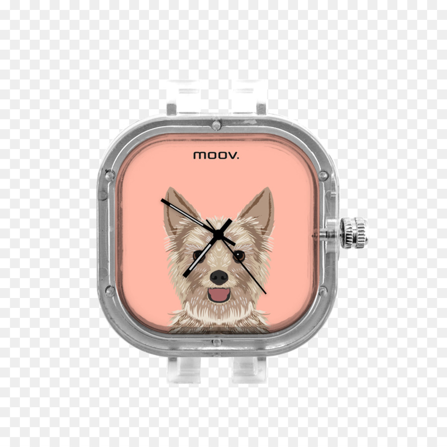 Köpek ırkı，Köpek PNG