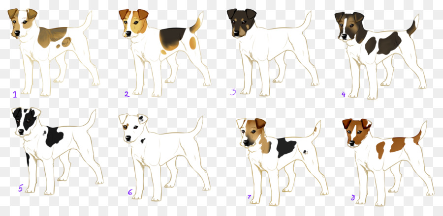 Köpek ırkı，İngilizce Foxhound PNG