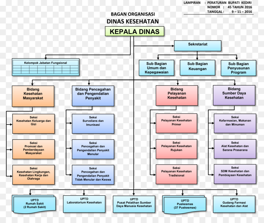 Organizasyon，Kediri Doğu Java PNG