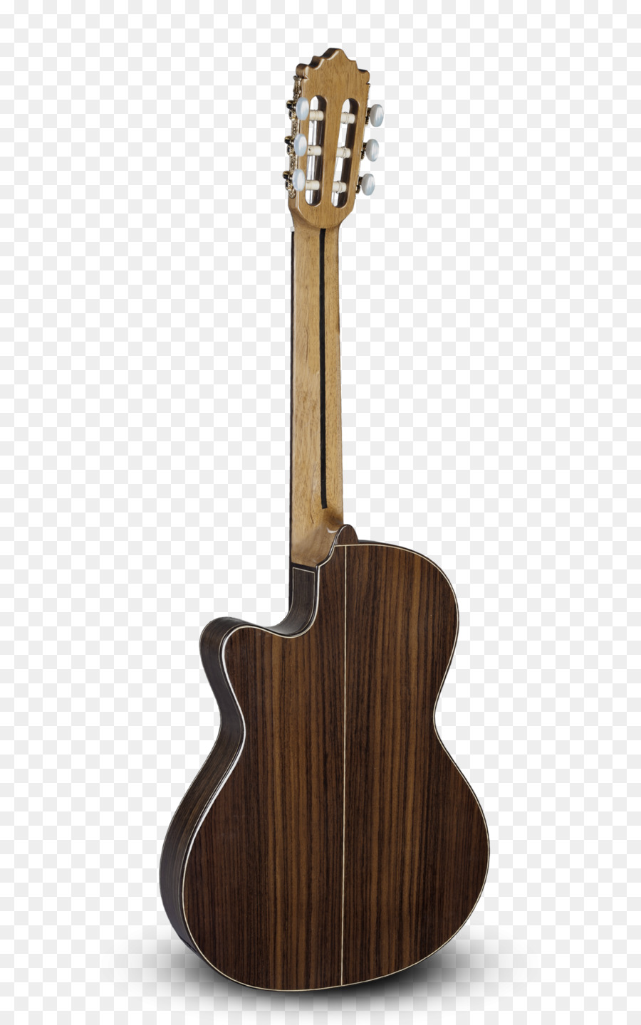 Gitar Mesnetli，Dizeler PNG