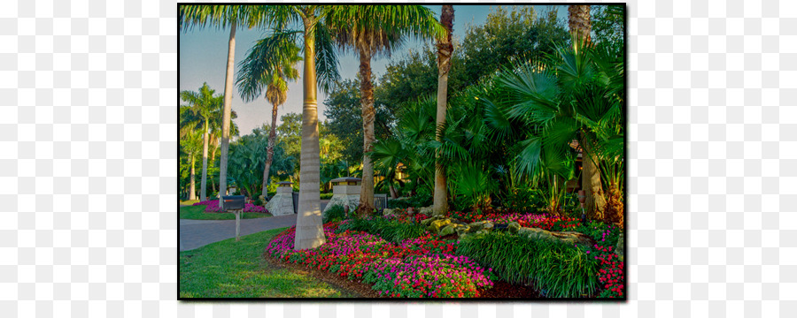 Majorelle Bahçesi，Majorelle Mavi PNG