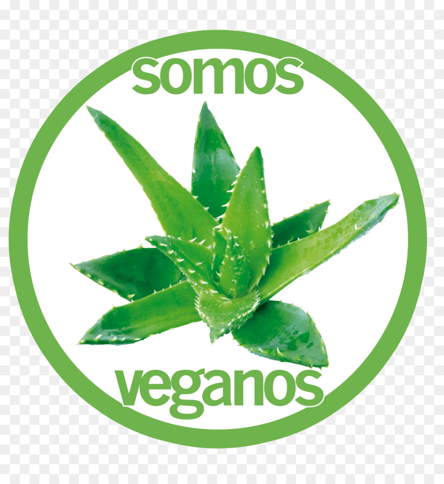 Aloe Vera，Cilt PNG