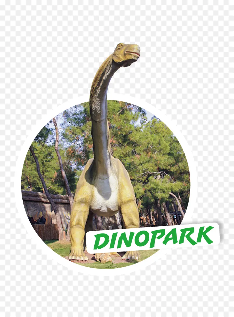 Dinozor Heykeli，Dinozor PNG