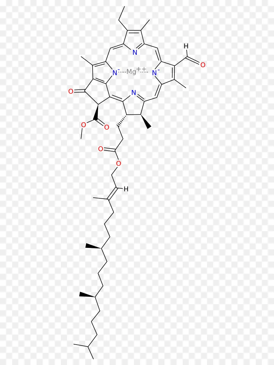 Kimyasal Yapı，Molekül PNG