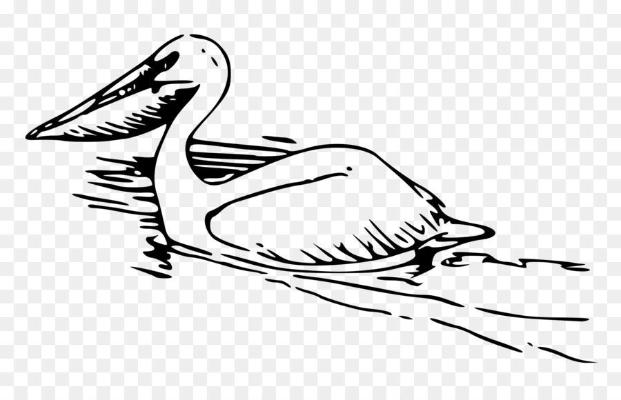 Pelikan，Siyah Ve Beyaz PNG