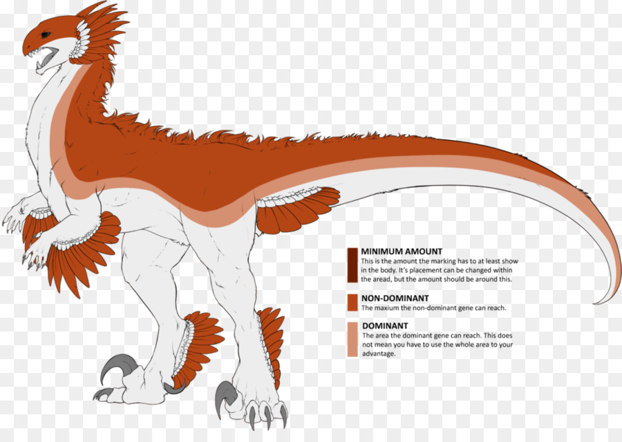 Velociraptor，< Carnivora PNG