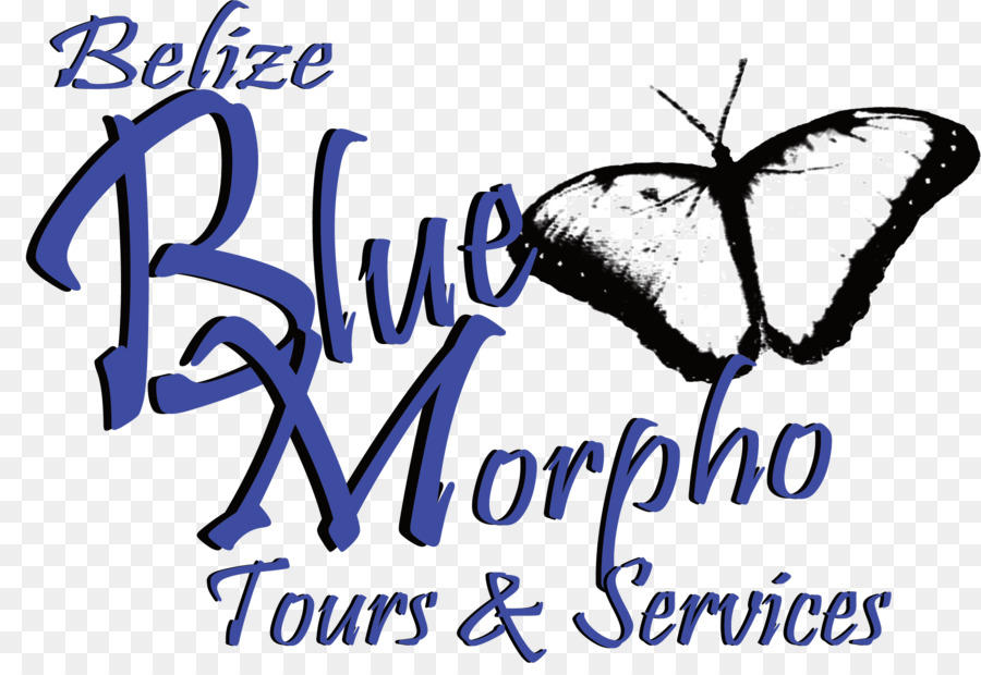 Belize Blue Morpho Tours Ve Hizmetler，Mavi Madde 263 Ayahuasca Center PNG