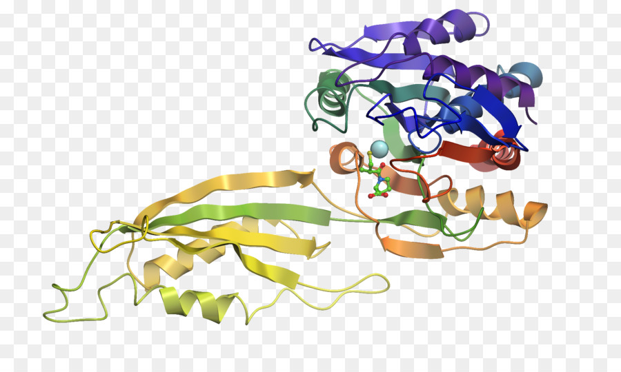 Protein Sarmalı，Molekül PNG