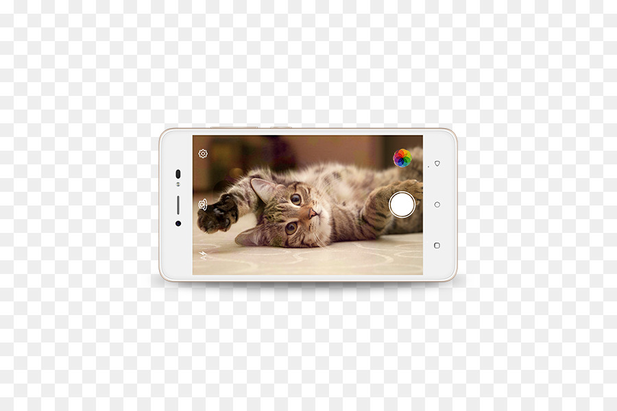 Kedili Akıllı Telefon，Kedi PNG